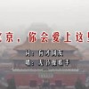 曾道正版资料免费大全一肖